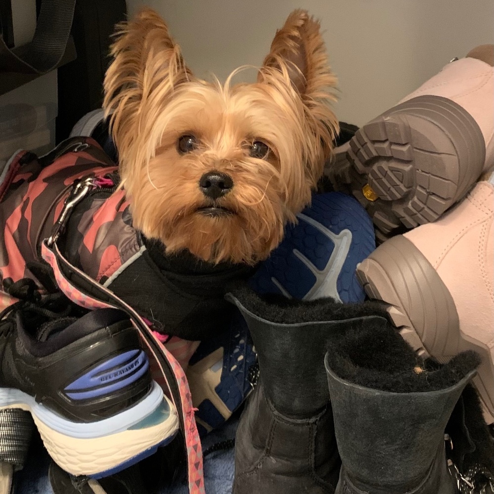 Meet your Posher, Darlene